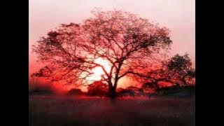 JIMMY HARNEN _ WHERE ARE YOU NOW