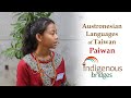 Austronesian language introduction  paiwan tribe  taiwan