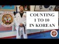 Tiger Kim's Academy Korean numbers counting 1 to 10 in Taekwondo