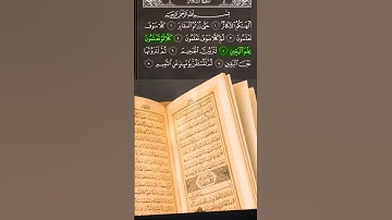 سورة التكاثر المنشاوي