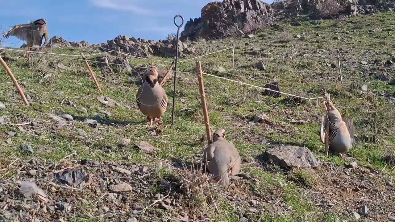 5 декабря 2024 г.