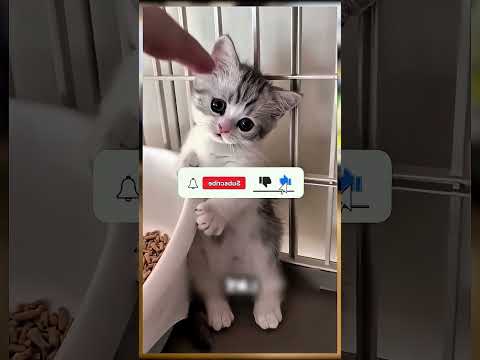 لحظة كانت ممكن تكل فها حياتها