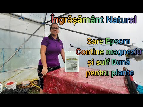 Video: Sare Epsom în grădinărit: este sarea Epsom bună pentru plante?