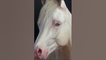 Realistic white horse 3D #3d #art #make #4d #horse