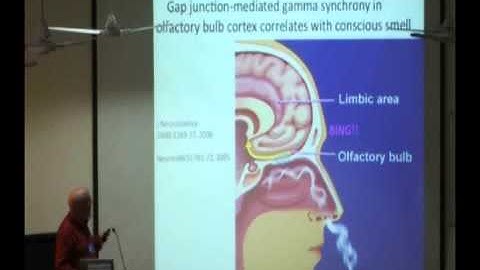 Workshop : consciousness in the universe – review of the ‘orch or’ theory_176 Prof Stuart Hameroff