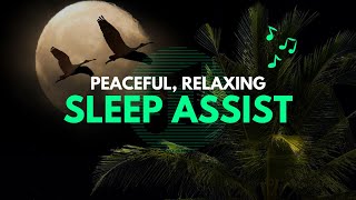 ❤️ Steady Heartbeat Loop | Deep Rhythmic Pulse for Relaxation & Calm 🌙 Soothing Sleep Sounds
