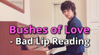 Bushes of Love - Bad Lip Reading (cover)