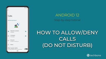 How to Allow/Deny Calls (Do Not Disturb) [Android 12]