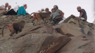 Ihsan Kilic 2009 Hamburg Hira Dagindan Görüntüler