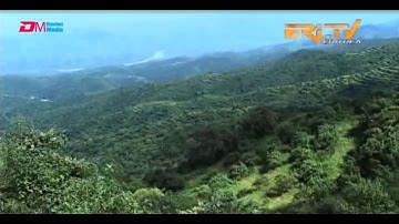 ERi-TV Documentary: ወፍሪ ሓምላይ ኤርትራ ውጸኢት ኣርእዩ - Greening Eritrea Campaign Pays Off