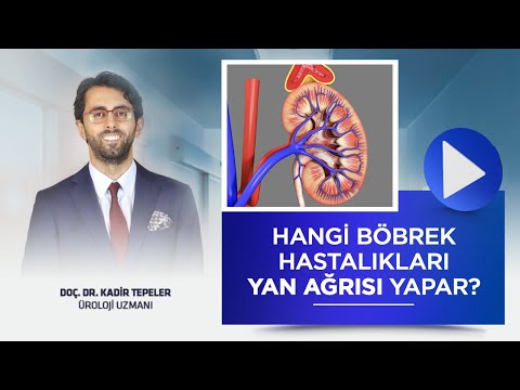 HANGİ BÖBREK HASTALIKLARI YAN AĞRISI YAPAR?