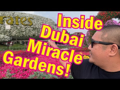 Inside Dubai's Miracle Gardens! (2019)