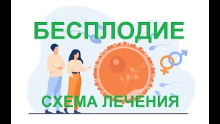 Бесплодие.Схема лечения