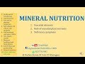 Mineral Nutrition, Role of essential nutrients, Deficiency Sym for AFO, NABARD by Roshan Kumar