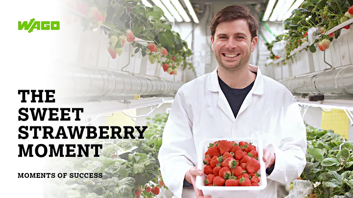 Moments of Success with WAGO - Vertical Farming Solutions