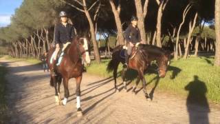 Claudia y Guille paseo a caballo