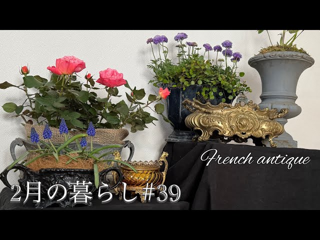 フランスアンティーク　ジャルディニエール(花瓶) アンティーク フランス ジャルディニエール（花器 ）