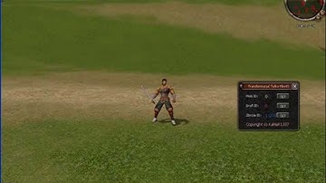 Metin 2 Gm Kodlarını Girme .