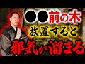 ここにある木は必ずお手入れしてください。悪霊に取り憑かれてからでは手遅れです!【風水 邪気 庭 植物】