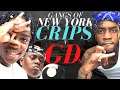 New York's Deadly Gang War - Crips v GDs