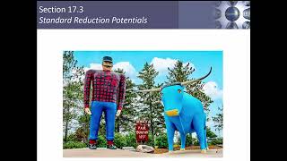 Ch17 part 5 17 3 Standard Cell Reduction Potentials