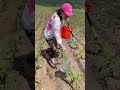🤫amazing tool for farming 😱🌱#tools #farming #sorts #trendingshorts #sbfarming #amazing #tools 🌾🌿🌱🌿🌴🥀