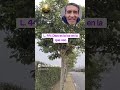Lección 44 UCDM: Dios es la luz en la que veo.