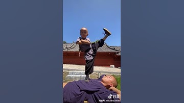 Cậu bé Sanbao đi tập cùng sư phụ ❤|Thiếu Lâm Tự