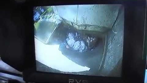 HOPPER CAMERA - Paddle Packing Garbage