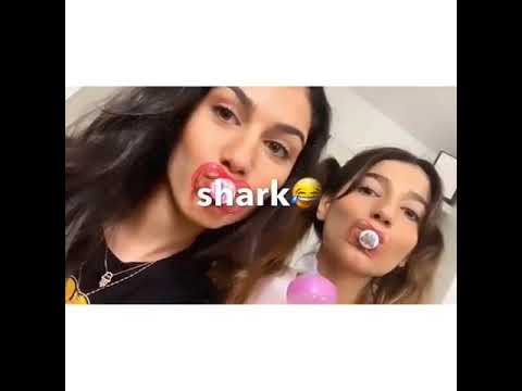 بيبي شك دودو نارين شيرين