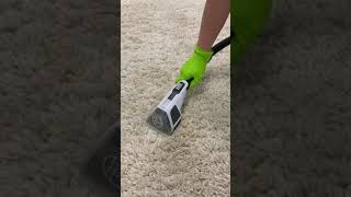 How to clean up and remove pet pee from your carpet #shorts