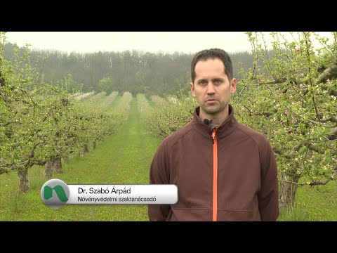 Videó: Miért biotermesztésű élelmiszer?