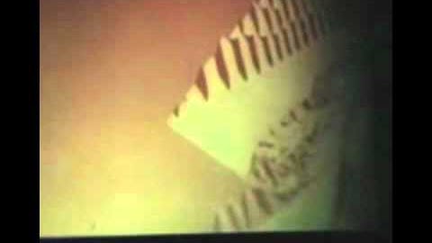 Eutectic solidification in organic system Formation of regular structure in the pyrene paradibromobenzene system