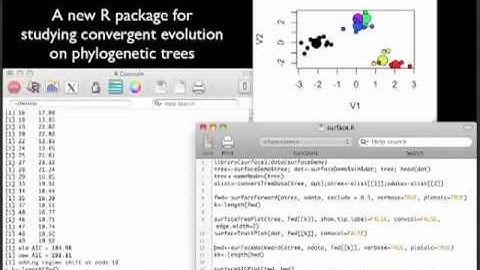 SURFACE: Detecting convergence with stepwise AIC