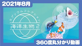 【Qualia・2021年8月商品】カプリウムコレクション海洋生物②＜発売店舗情報は概要欄をチェック＞