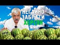 Корчинський - ЗСУ має негайно забирати Херсон. Як працює російська пропаганда на Заході?