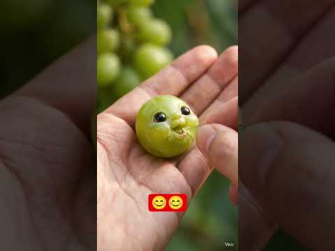 #tinybabysnack #foodie #trendingshorts #bitcoin #viralvideo