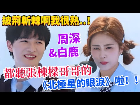 白鹿準確猜出《北極星的眼淚》中華小曲庫獲周深認證！#綜藝 #zhoushen #張棟樑