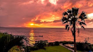 Sleep Music Video to Fall Asleep Naturally at Sunset! by LoungeV Films - Relaxing Music and Nature Sounds 714,193 views 6 years ago 8 hours, 1 minute
