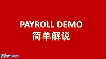 【中文】Payroll Demo👩🏻‍💻简单解说 | SQL Payroll