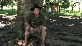 El Joropo está en la tierra parte2