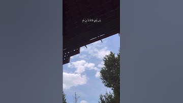 سورة الزمر { ٣٦ }{ ٣٧ }