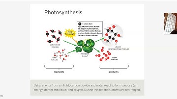 Matter and Energy in Ecosystems Lesson 2 Part 2