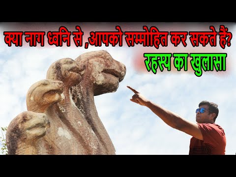 वीडियो: स्पंदन प्रतिध्वनि कैसी होती है?