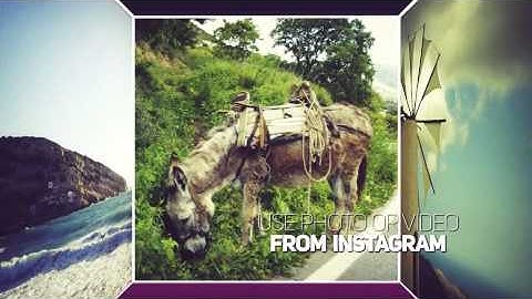 After Effects Project Files - Box Opener - VideoHive 8064260