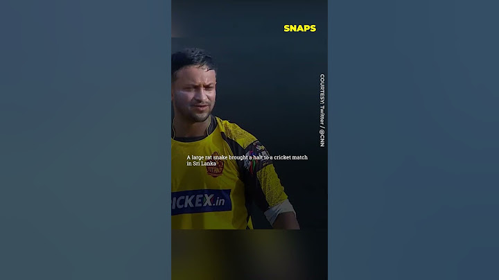 A large rat snake brought a halt to a Cricket match | IKN Snaps @srilankacricket