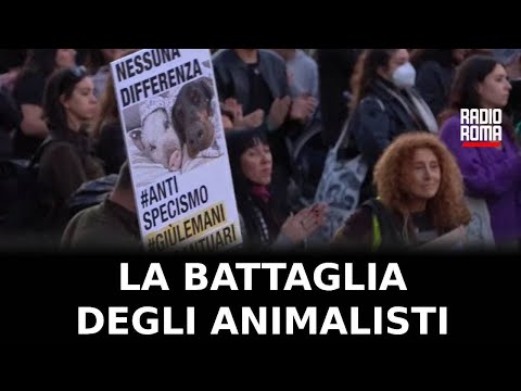 La battaglia degli animalisti per proteggere i santuari - IL SERVIZIO