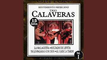 Cuando Canta la Paloma