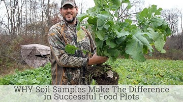 WHY Soil Samples Make The Difference in Successful Food Plots