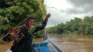 BUKAN MAIN!!! Mancing Baung Geso Ketika Banjir Besar Datang Endingnya Bikin Full Senyum